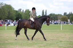 W36_1935 2026