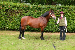 F45_0477 2026