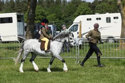 E33_4930 2026