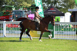 W33_0663 2026