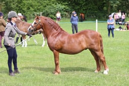 J36_6185 2026