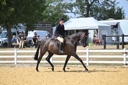 113B Large Hack