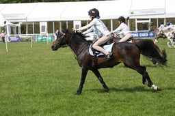Pony Club Mounted Games Final