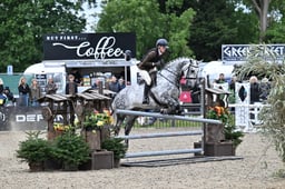 92 Working Hunter Pony 153cm