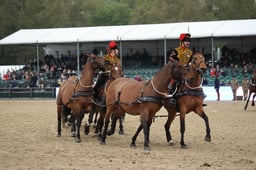 Kings Troop