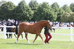 E42_0893 2026