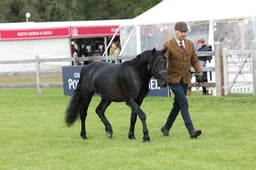 W29_0514 2026