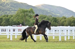 NPS SILVER MEDAL CHAMPIONSHIP