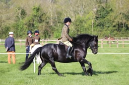 C19_0468 2026