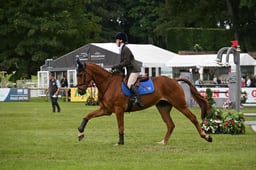 C40_3174 2026