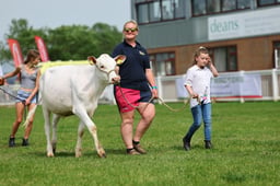 Parade of Livestock
