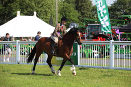W33_0873 2026