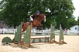 07A Intermediate Working Hunter Pony