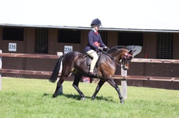 107-106 Part Bred Ridden Championship