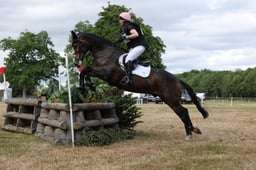 C56_2311 2026