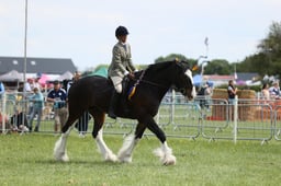 E36_1748 2026