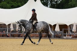 H29_0505 2026