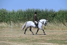 S60_0578 2026