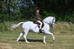 S60_0206 2026