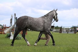 J36_7693 2026