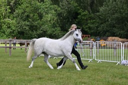 Ledbury Ring A