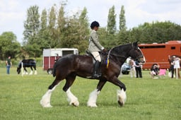 E36_1759 2026