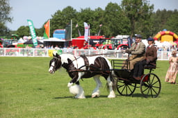 W33_1719 2026