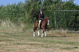 S60_0237 2026