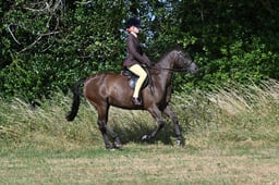 S60_0274 2026