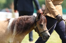 E68_4977 2026