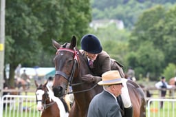 A43_1767 2026