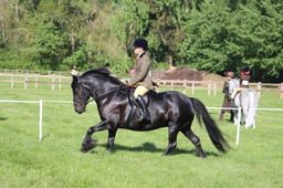 C19_0505 2026