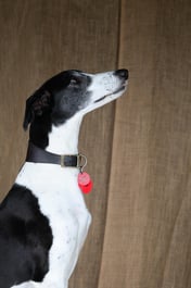 D40_2983 2026