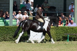 S61_0687 2026