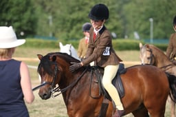 102B M&M Junior Ridden Small Breed