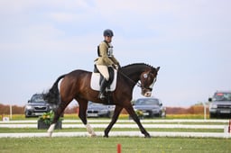 A20_2011 2026