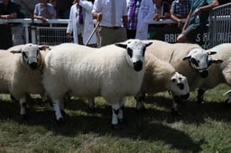 M67_1027 2026