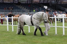 M44_0166 2026