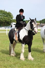 H217 Side Saddle Equitation