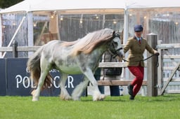 S28_9129 2026
