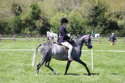 C19_1404 2026