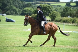 06-01 RoR Showing Championship