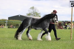 J36_7514 2026