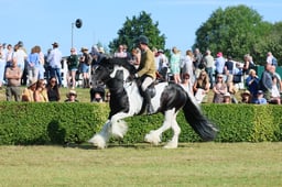 S61_0536 2026