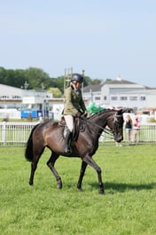 C34_0656 2026