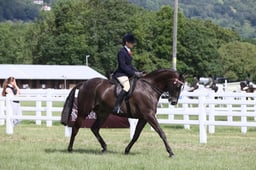 E43_0622 2026