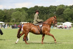 E36_2302 2026
