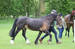 J36_6607 2026