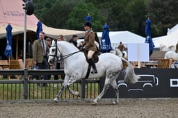 A29_0681 2026
