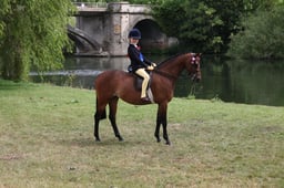 L31_0351 2026
